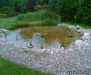 Садовый пруд очистка воды